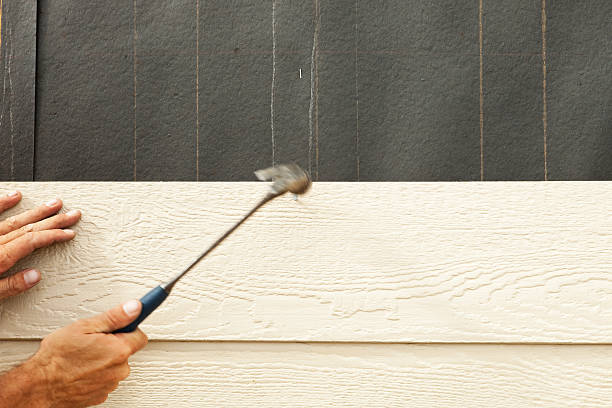 Best Vinyl Siding Installation  in Mineola, TX